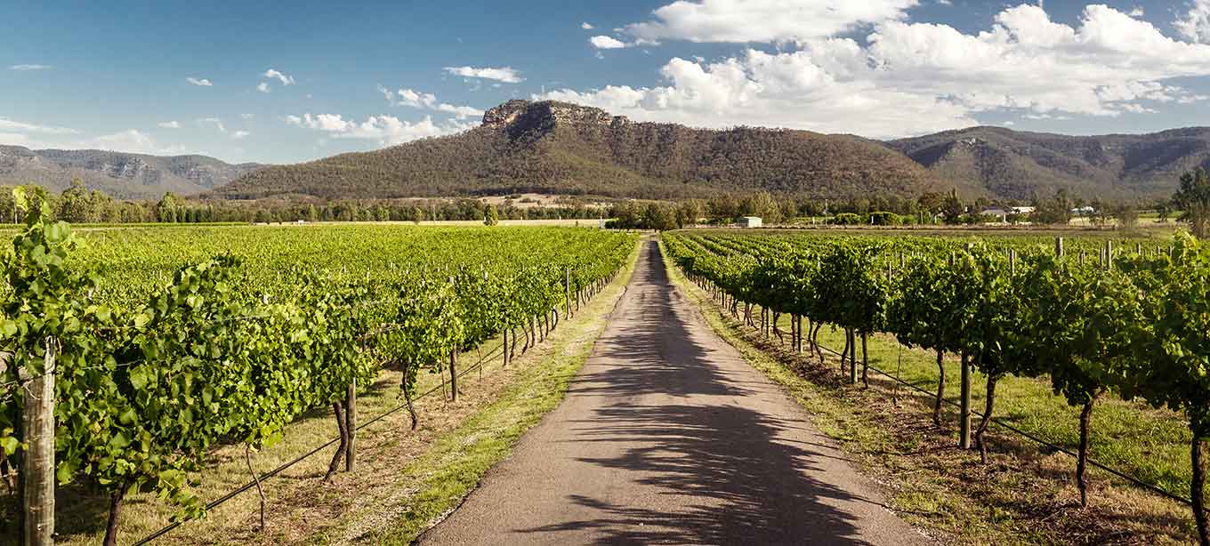 Import Hunter Valley Wine Popular Wineries Cellar Door