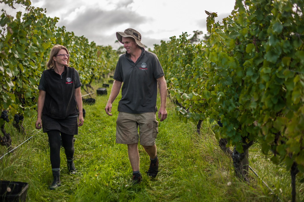 Holm Oak Vineyards
