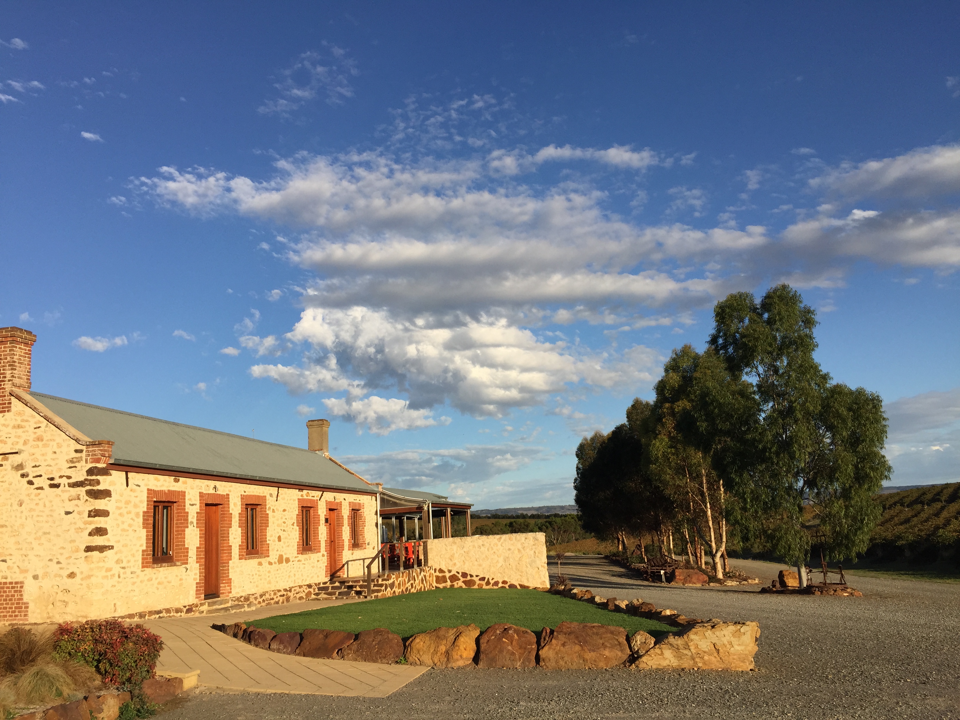 Oliver's Taranga Vineyards