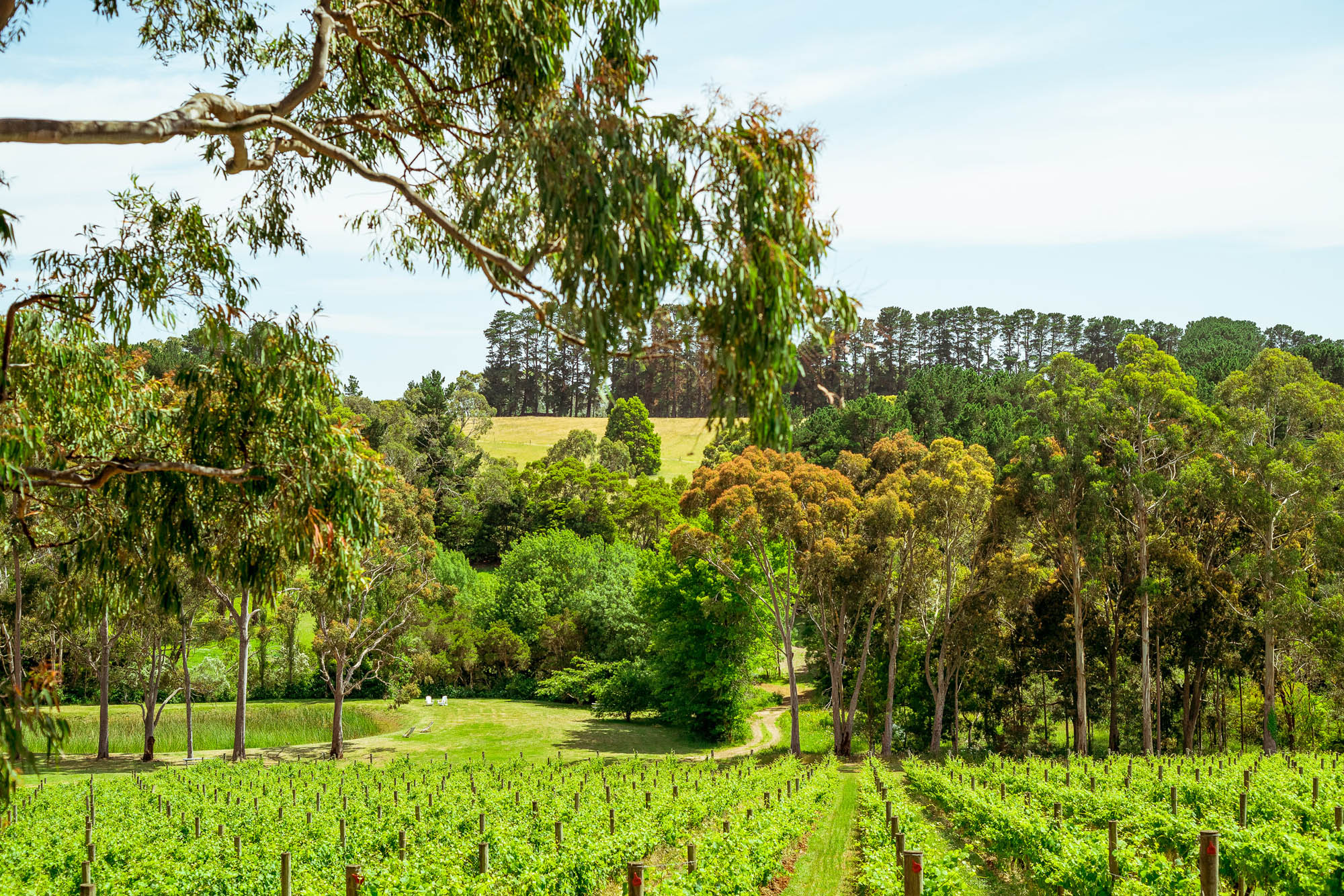 Polperro Winery