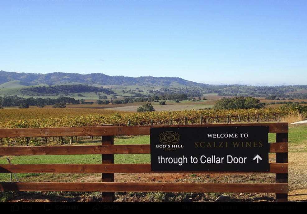 God's Hill Wines - Scalzi Estate