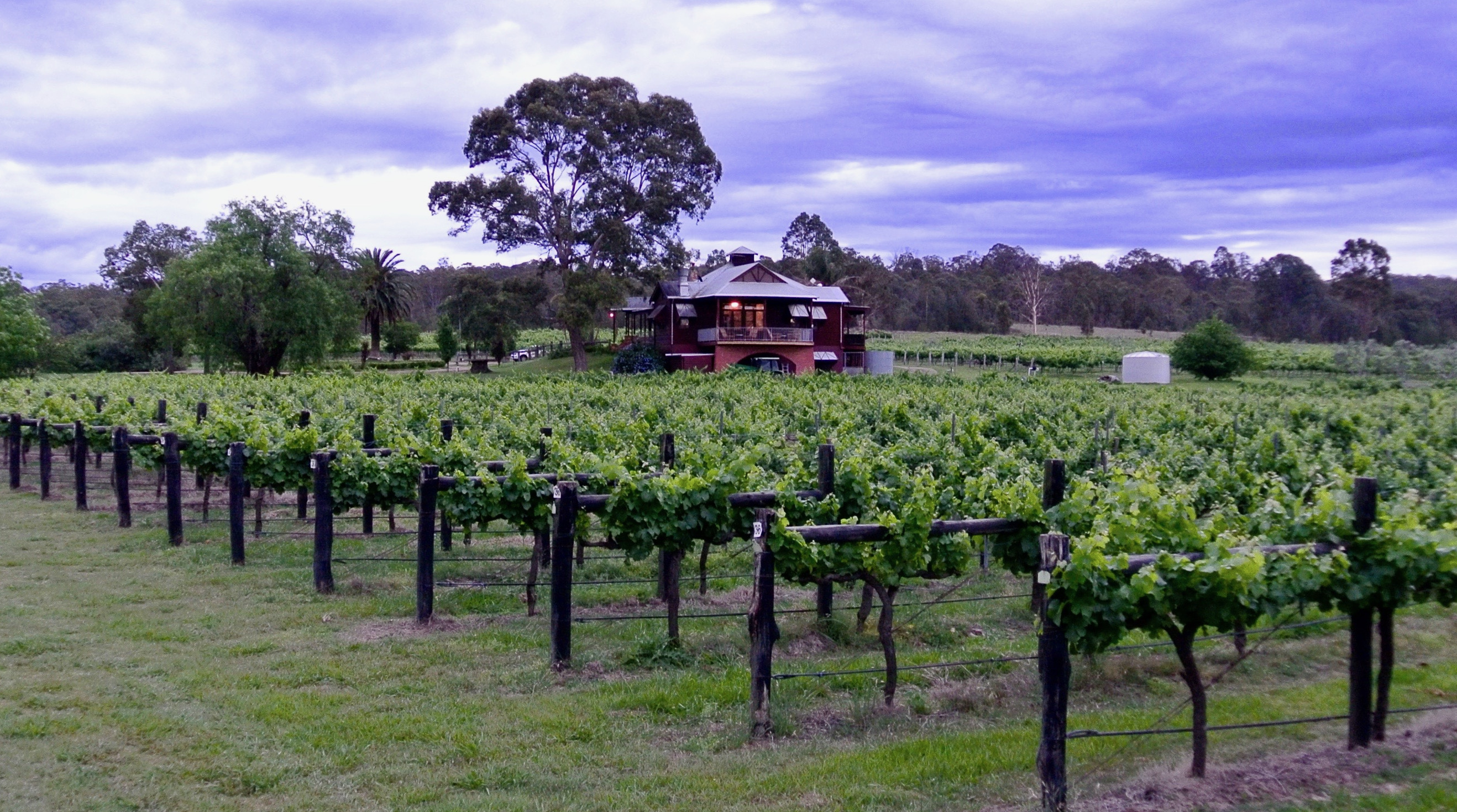 Black Creek Farm - Thélème Wines